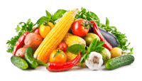 Вегетарианские, веганские продукты, продукты для сыроедов