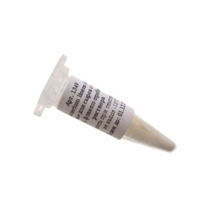 Плесень для сыра Brevibacterium linens на 10л раствора