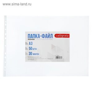 Файл-вкладыш А3, 30 мкм Calligrata, глянцевый, горизонтальный, упаковка 50 шт.