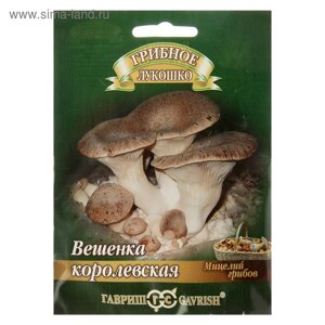 Мицелий на компосте "Вешенка Королевская" на древесной палочке, 12 шт.
