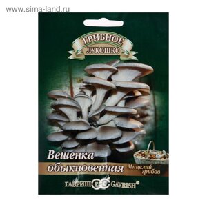 Мицелий на компосте "Вешенка Обыкновенная" на древесной палочке, 12 шт.
