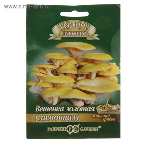 Мицелий на компосте "Вешенка золотая" Лимонная на древесной палочке, 12 шт.