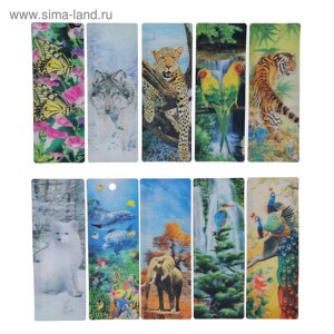 Закладка для книг, пластик, 3D, МИКС
