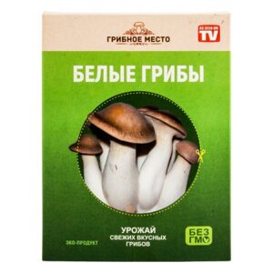 Грибы «Грибное место»