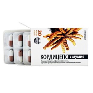 Кордицепс с Мумие, 30 капс., Алфит Плюс